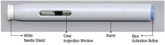 Figure 1 (Frontal view of autoinjector)